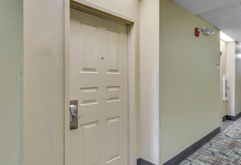 فندق King Bed Studio Free Shuttle