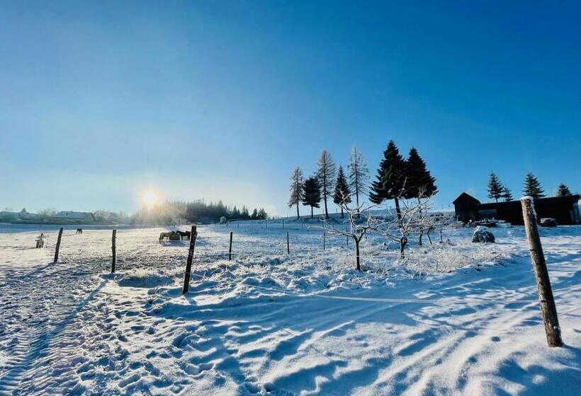 Отель Kroneggerhof