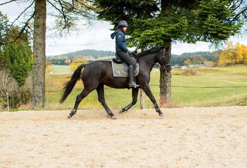 Отель Kroneggerhof