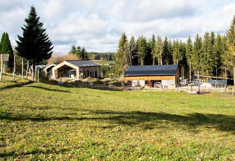 Отель Kroneggerhof