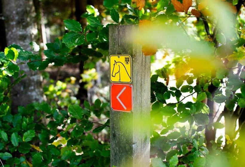 Отель Kroneggerhof