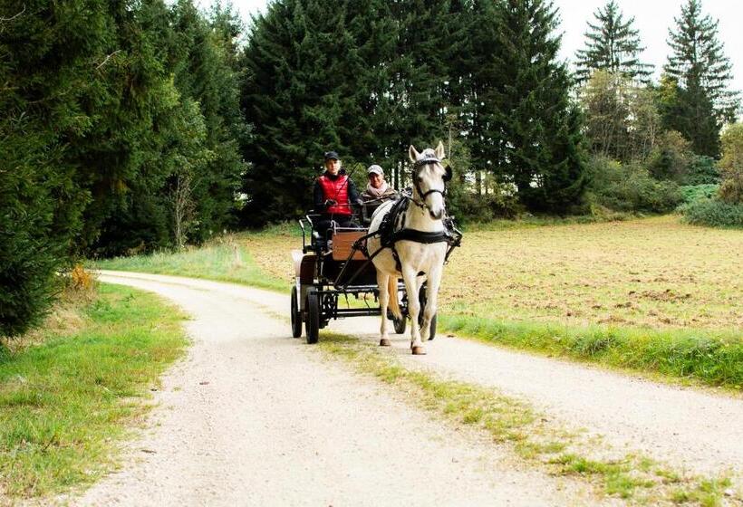 Отель Kroneggerhof