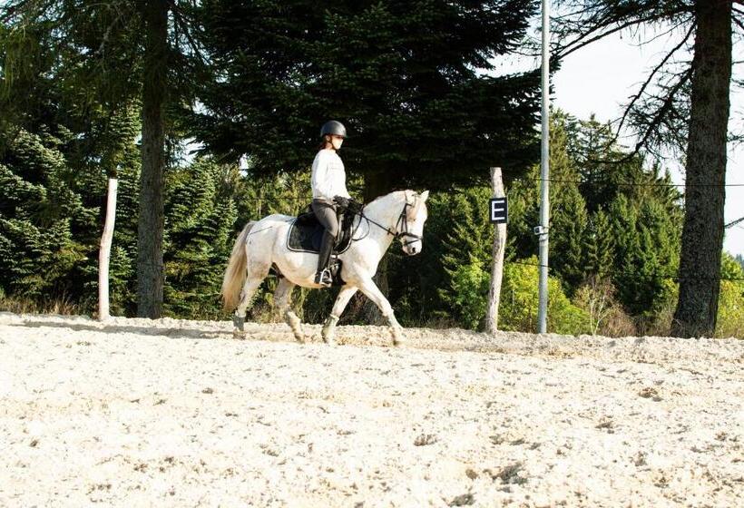 Отель Kroneggerhof