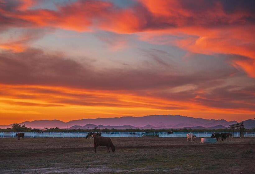 Отель Nude Glamping Dome