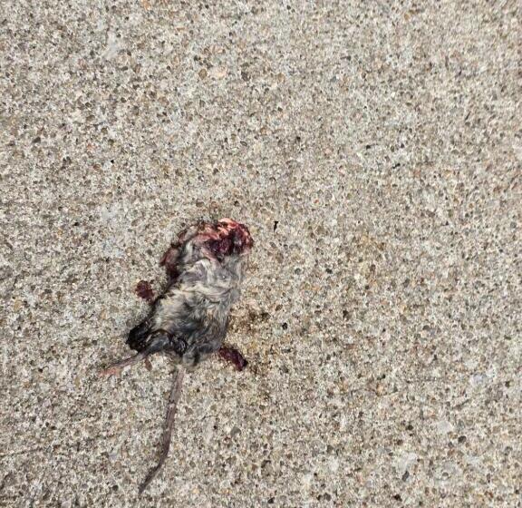 ホテル Sonesta Select