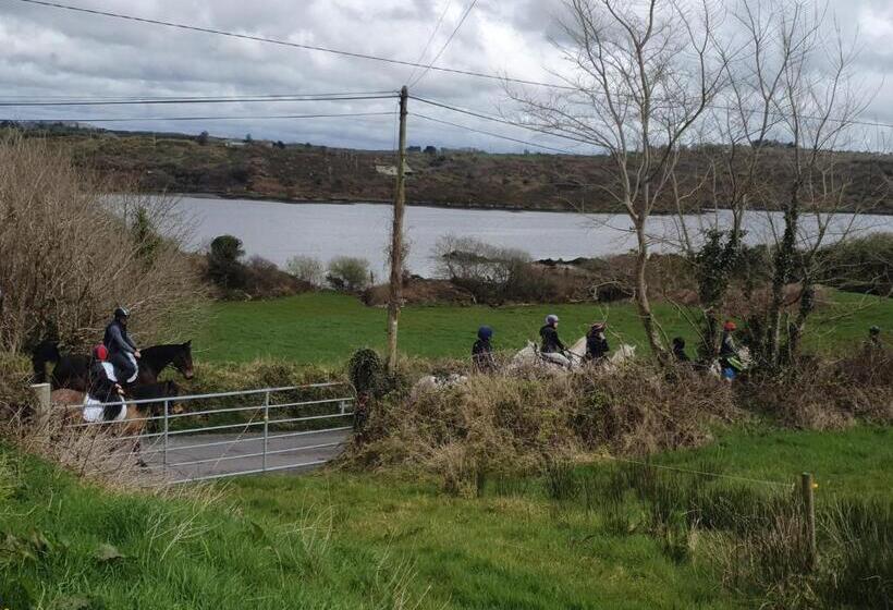 פנסיון Bayview Bed & Breakfast