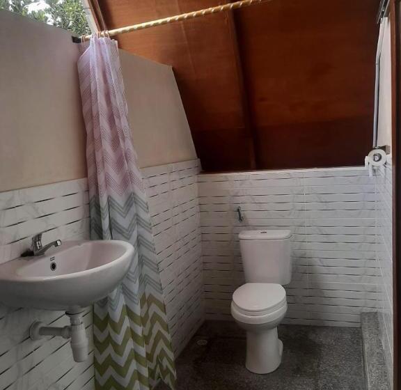 بنسيون Carasti Bungalows