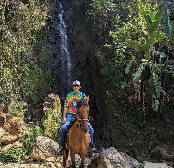 פנסיון Paradise In Envigado