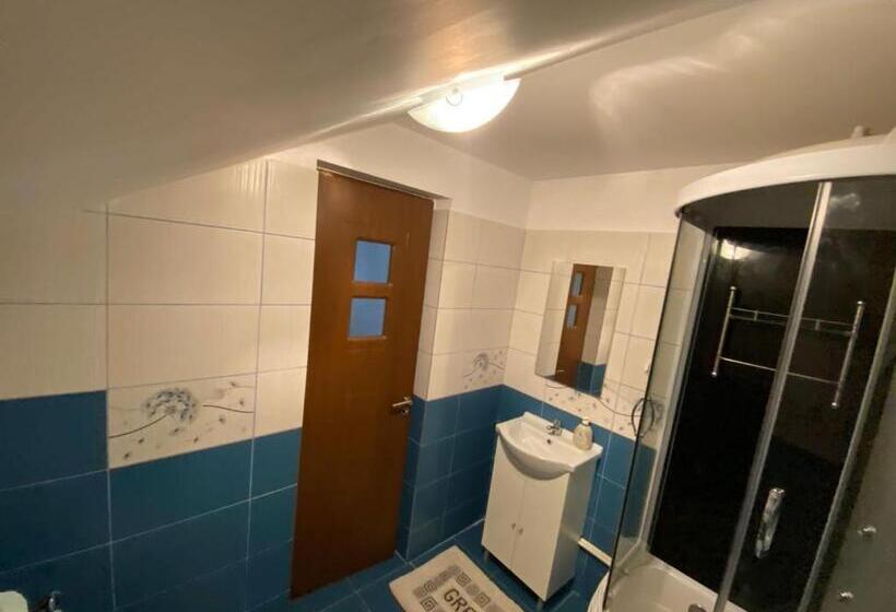 Pensiunea Casa Andrei