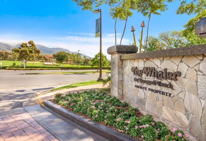 The Whaler By Maui Resort Rentals