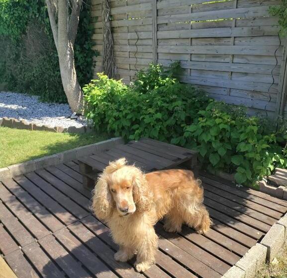 ベッドアンドブレックファースト Chambre D Hôte Des Abers