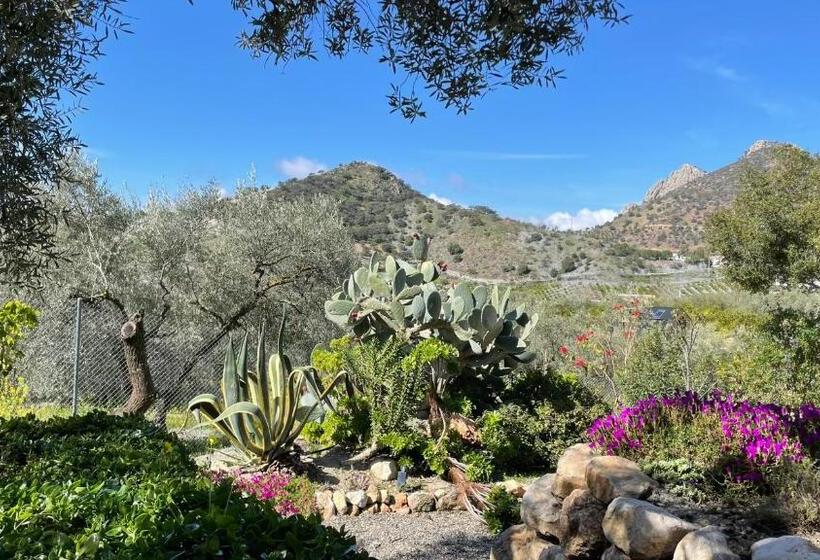 مبيت وإفطار Finca Valle Verde