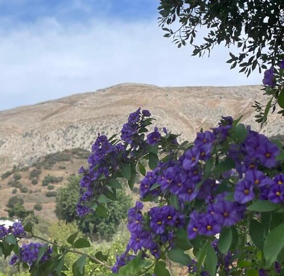 مبيت وإفطار Finca Valle Verde