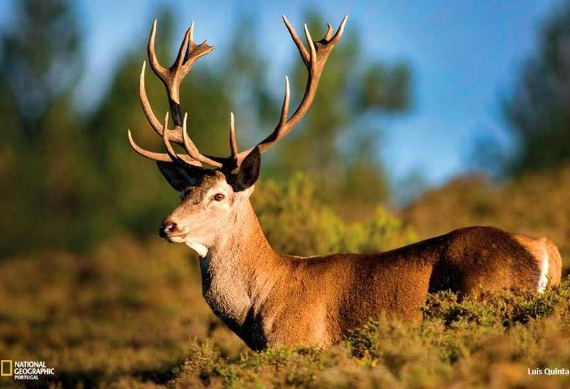 민박 Lousã Estação Al