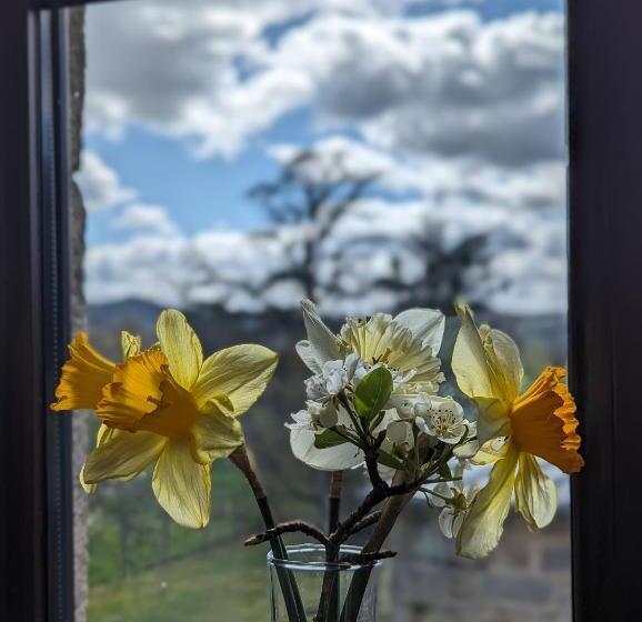 צימר Trente Trois Le Nouhaud