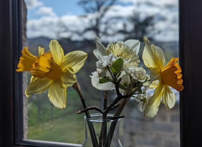 住宿加早餐  Trente Trois Le Nouhaud