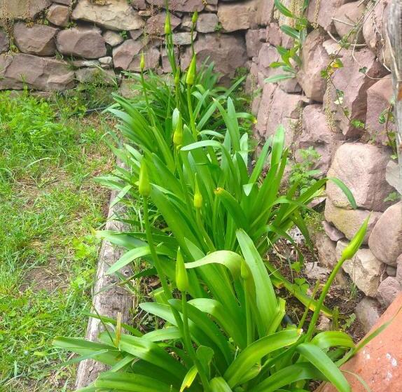 مبيت وإفطار Venta De Arrieta