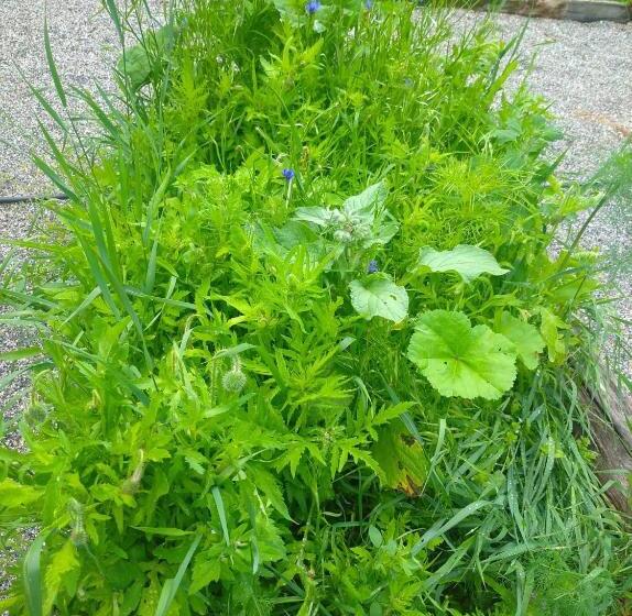 مبيت وإفطار Venta De Arrieta