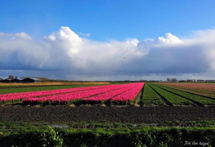 住宿加早餐  Vintage Glamping Caravan Stadstuin Goedereede