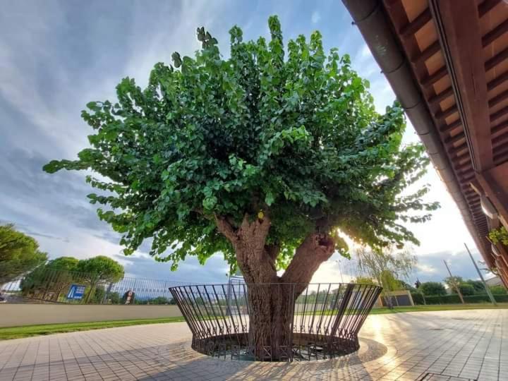 ホテル Agriturismo La Buona Compagnia