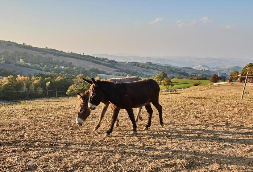 בית מלון כפרי Agriturismo Prato Del Re