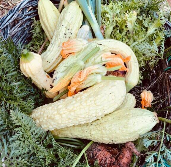 בית מלון כפרי Agriturismo Prato Del Re