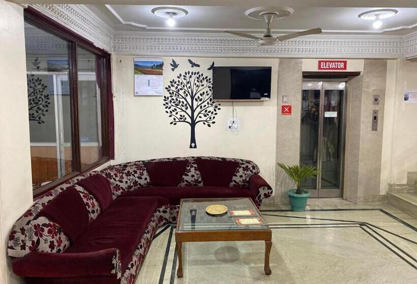 בית מלון כפרי City Plaza, Srinagar