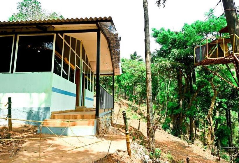 호텔 Jungle Adventure Homestay