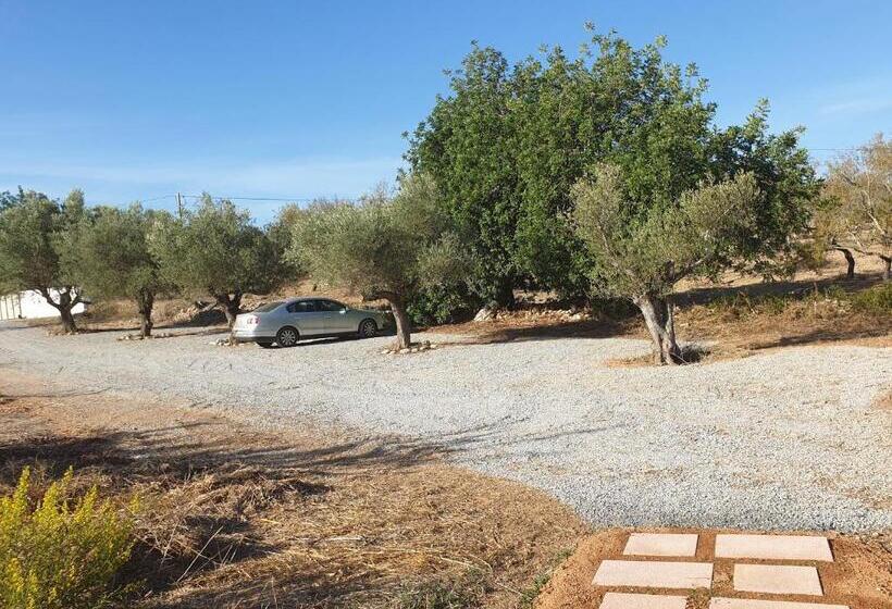 Отель Monte Das Açoteias Agroturismo