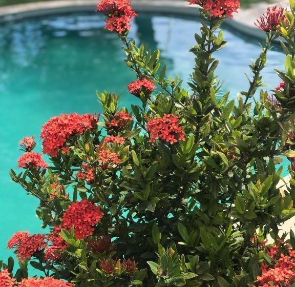 בית מלון כפרי Pousada Praia Do Farol