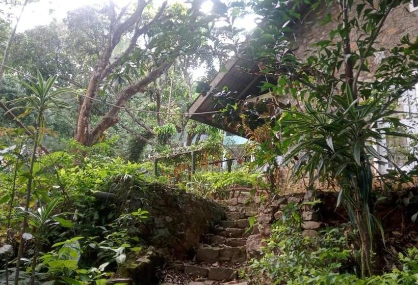 בית מלון כפרי Riverston Hub