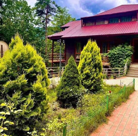 هتل Sairme Palace