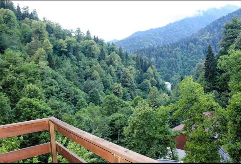 هتل Sairme Palace