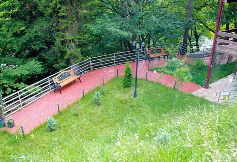 هتل Sairme Palace