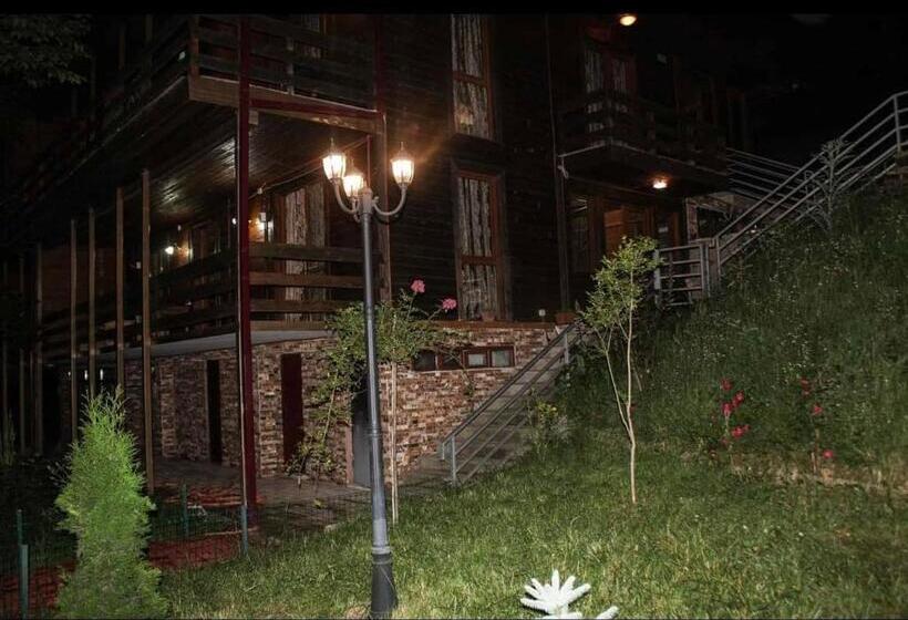 هتل Sairme Palace