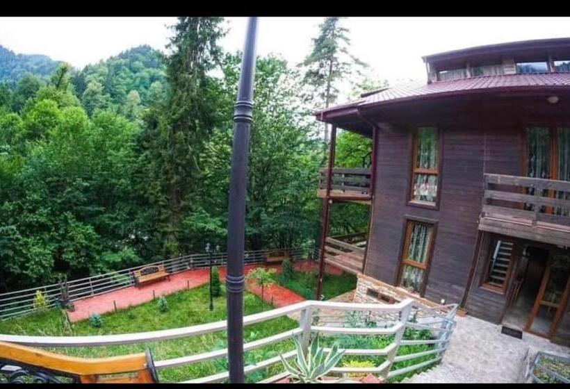 هتل Sairme Palace