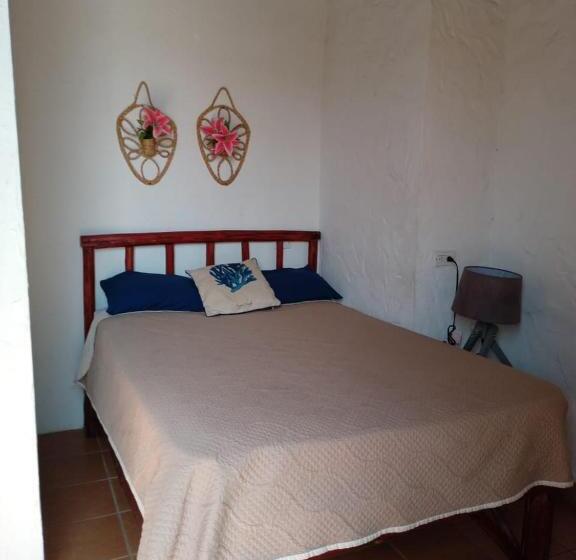 酒店 San Carlos Beach In