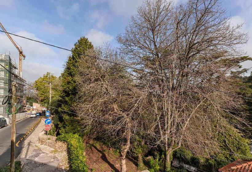 هتل Sintra Wow   Unique Double Smart Room In 17th Century Palace! Hot Tub, Snooker, Bbq, Ps5, Sauna, Gym