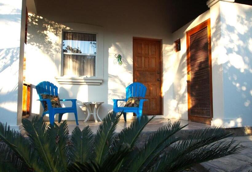 فندق Surf Sanctuary