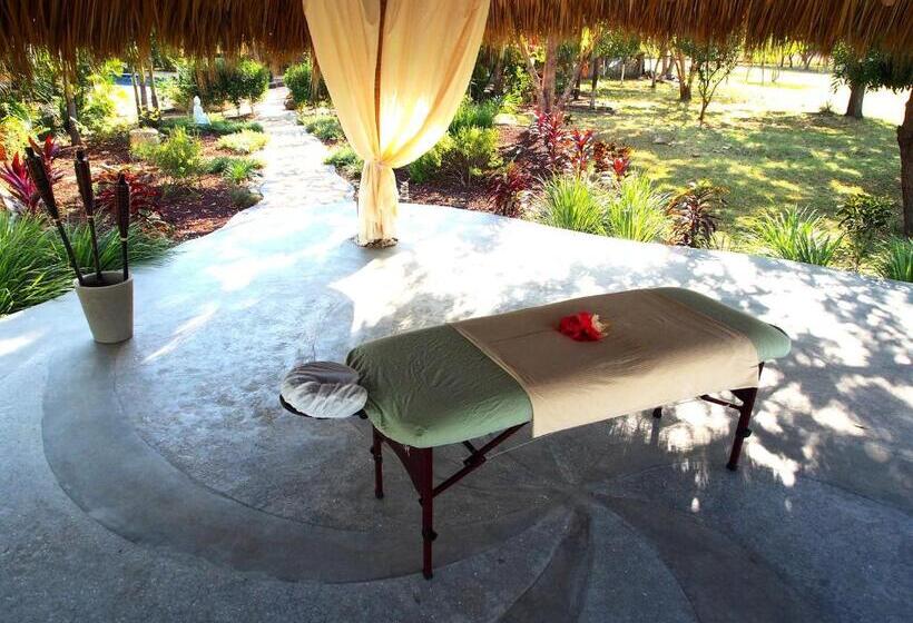 فندق Surf Sanctuary