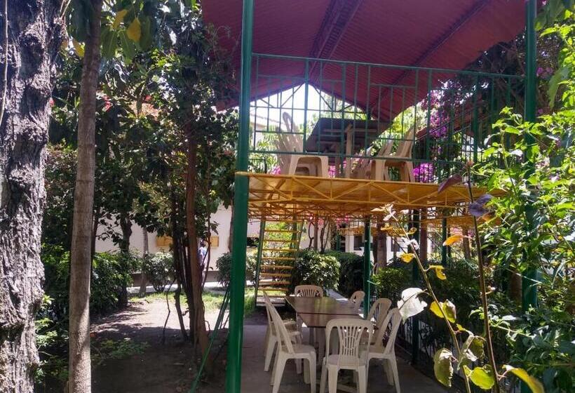 Kibo Hotel Restaurant