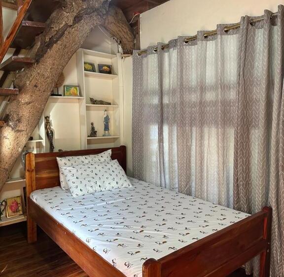 Pearl Resort Panglao,dauis Bikini Beach