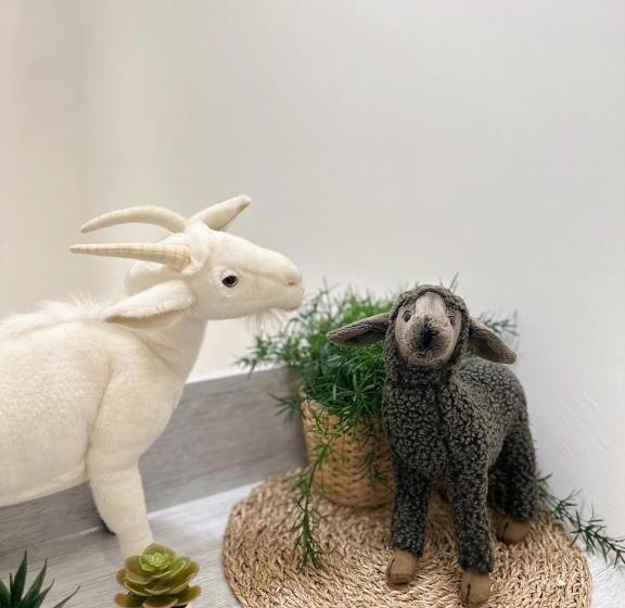 پانسیون n 24.8 二館 宜蘭頭城民宿