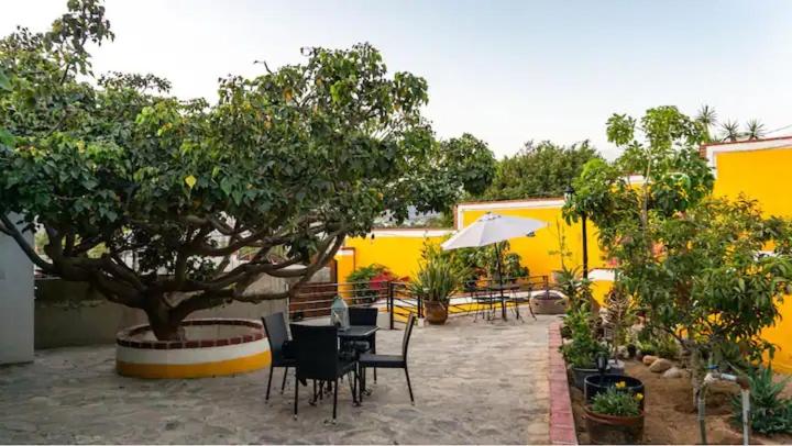 פנסיון Casa María