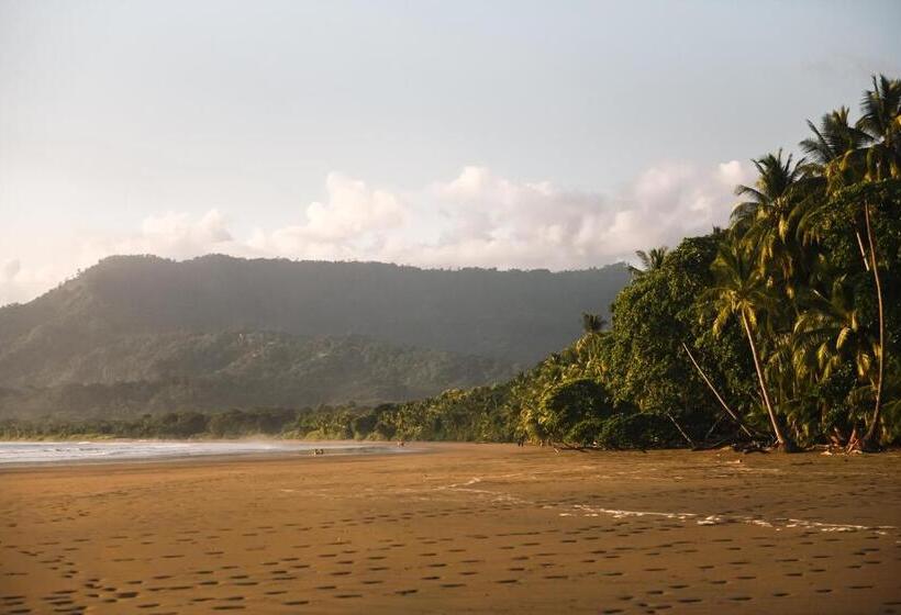 پانسیون Casa Verde