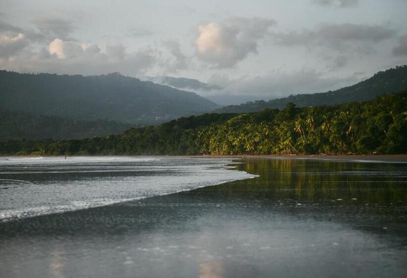 پانسیون Casa Verde