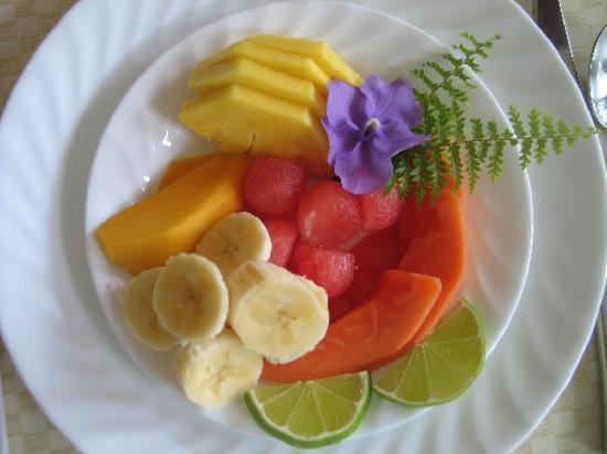 Пансион Evi S Place