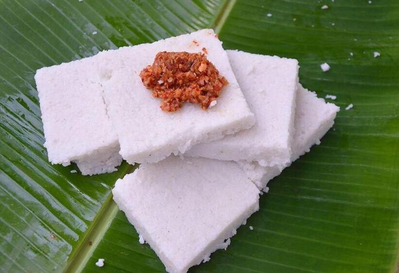 Пансион Evi S Place