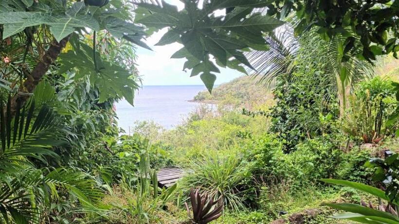 膳宿费 L Atelier Gîtes Des Koalas