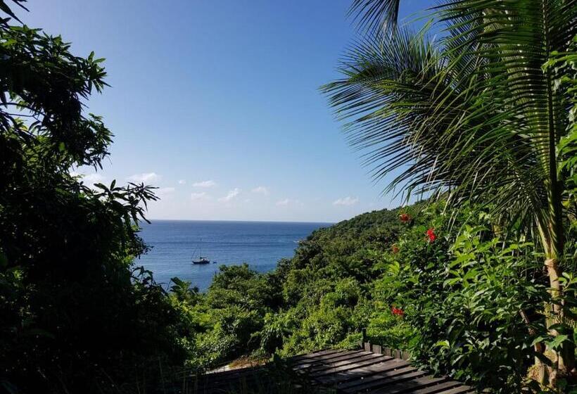 膳宿费 L Atelier Gîtes Des Koalas